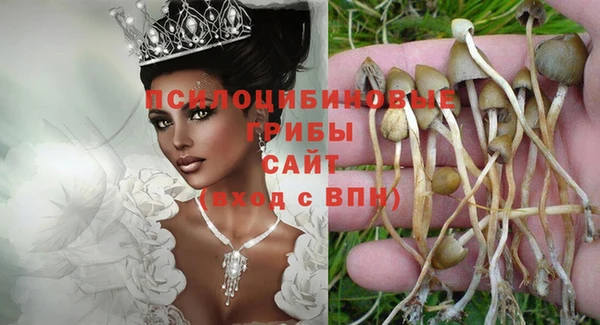 spice Арсеньев