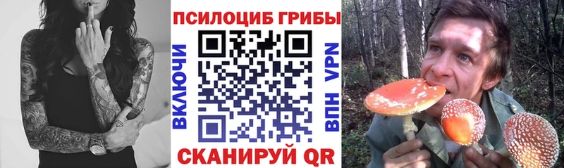 Псилоцибиновые грибы Magic Shrooms  магазин продажи   кракен маркетплейс  Лесосибирск 